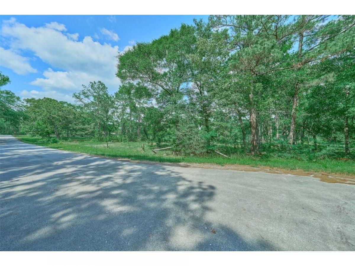 Picture of Residential Land For Sale in Montgomery, Texas, United States