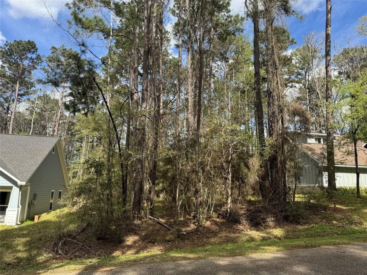 Picture of Residential Land For Sale in Coldspring, Texas, United States