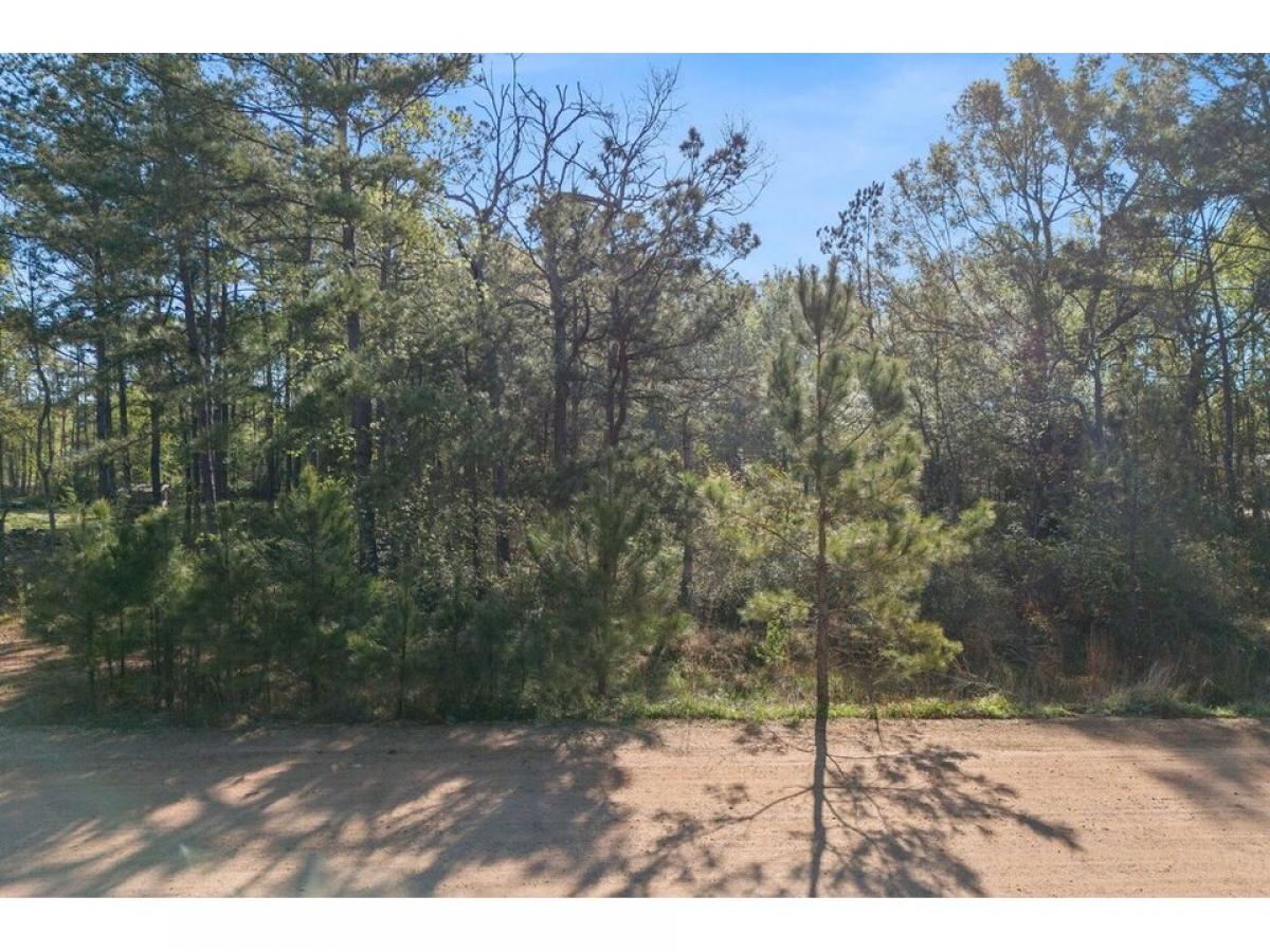 Picture of Residential Land For Sale in Conroe, Texas, United States