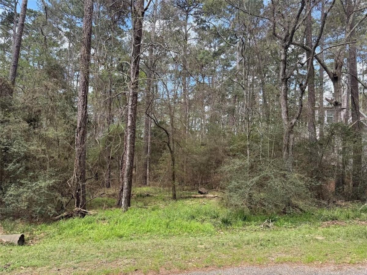 Picture of Residential Land For Sale in Coldspring, Texas, United States