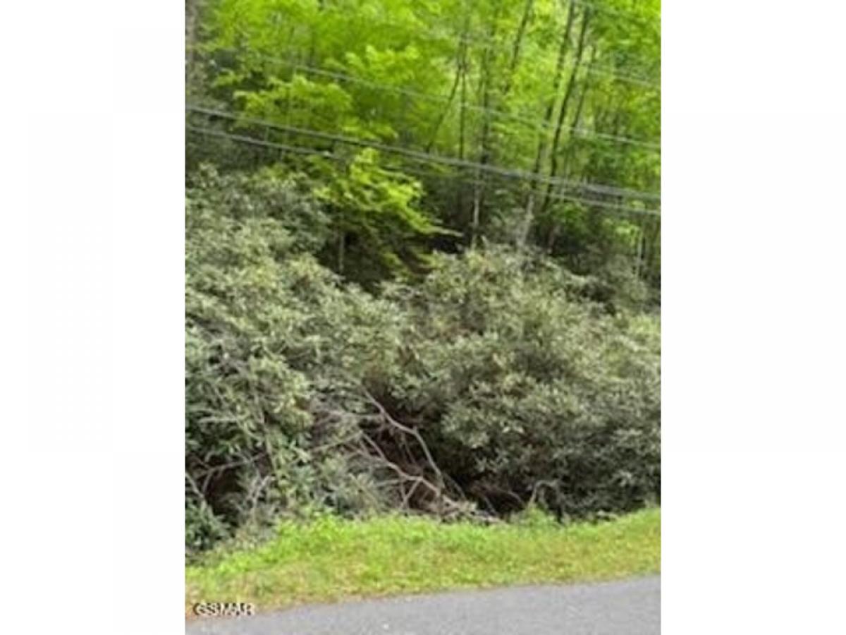 Picture of Residential Land For Sale in Pittman Center, Tennessee, United States