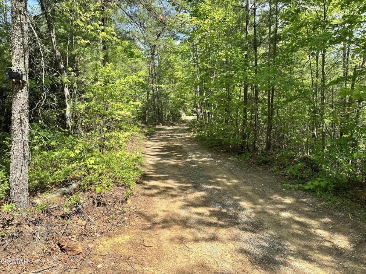 Picture of Residential Land For Sale in Cosby, Tennessee, United States