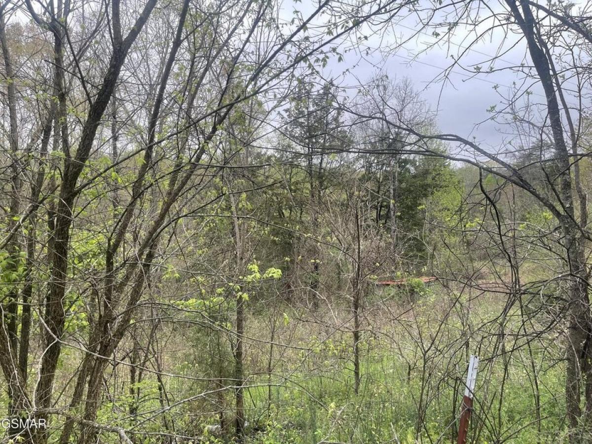 Picture of Residential Land For Sale in Parrottsville, Tennessee, United States