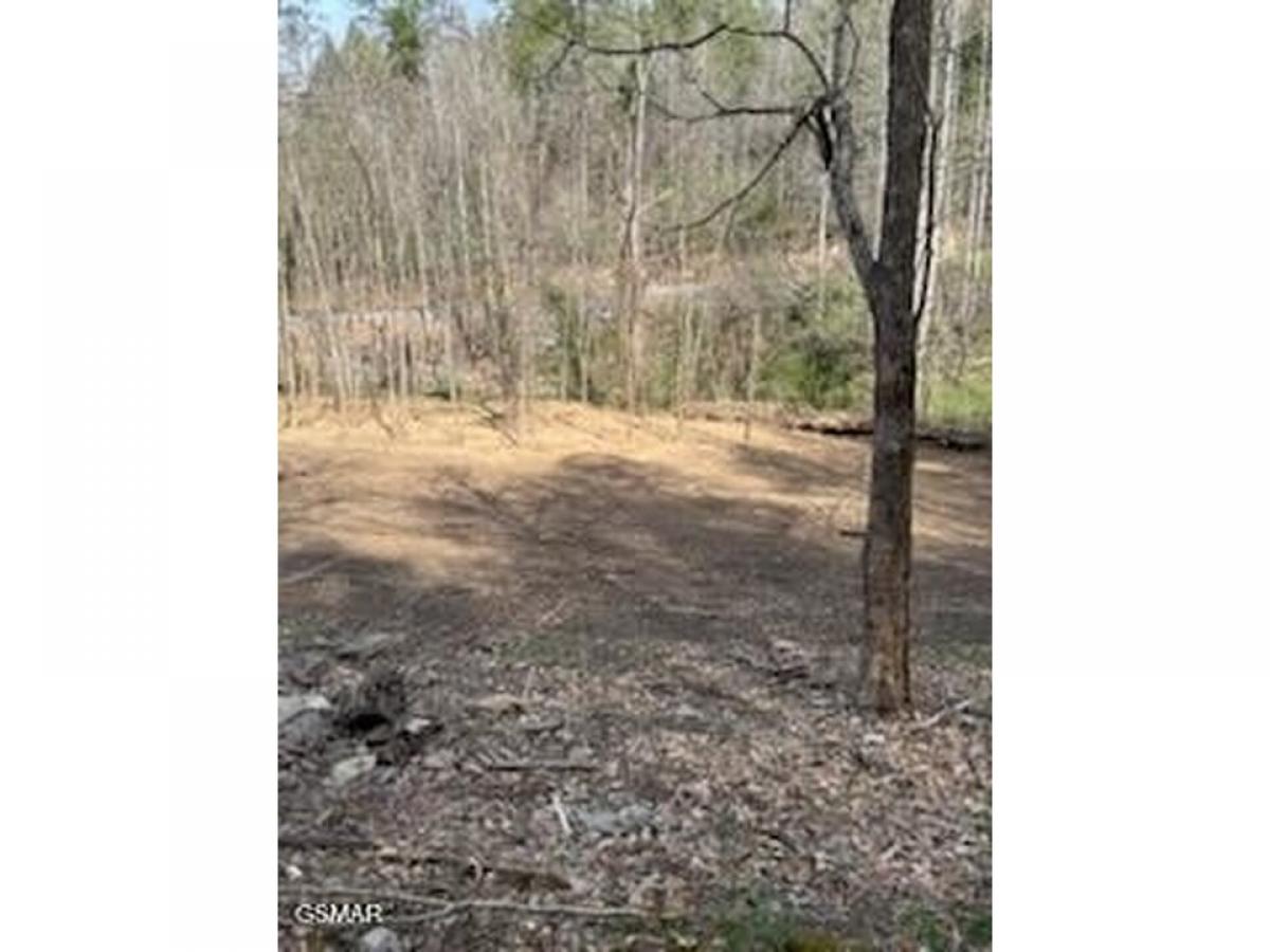 Picture of Residential Land For Sale in Pigeon Forge, Tennessee, United States