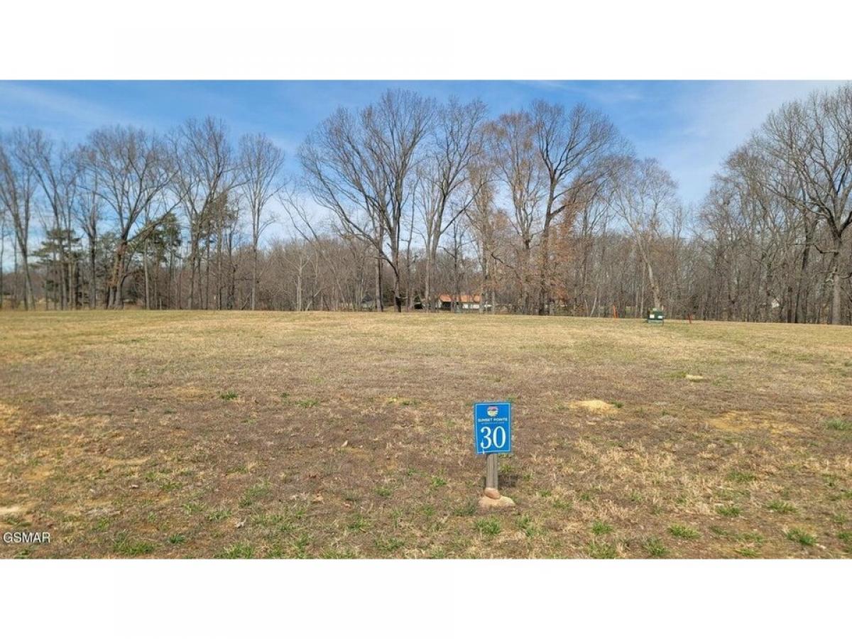 Picture of Residential Land For Sale in Baneberry, Tennessee, United States