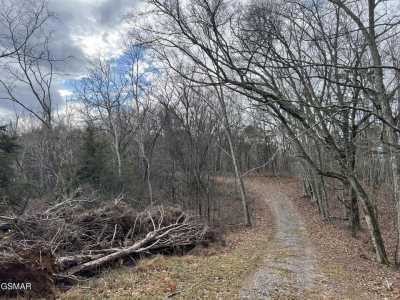 Residential Land For Sale in Bybee, Tennessee