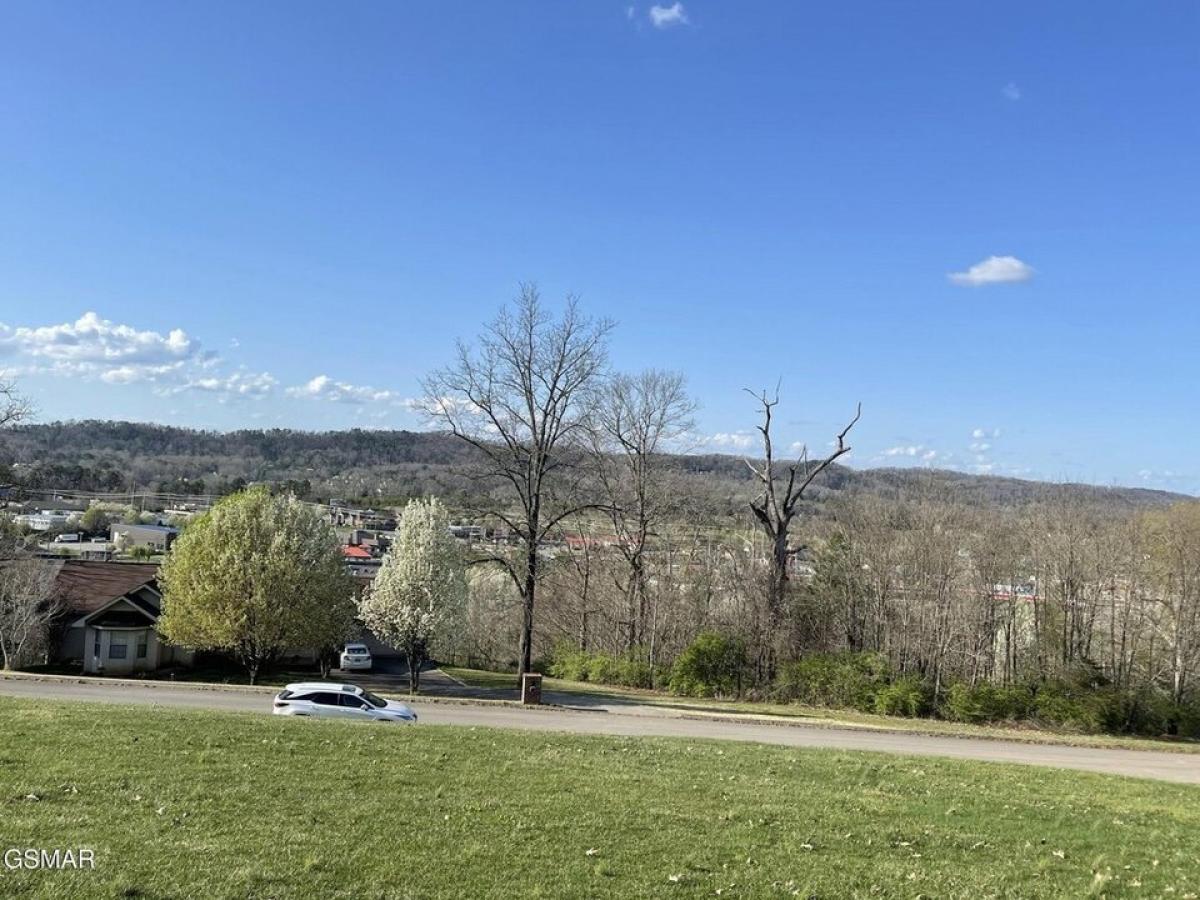 Picture of Residential Land For Sale in Seymour, Tennessee, United States