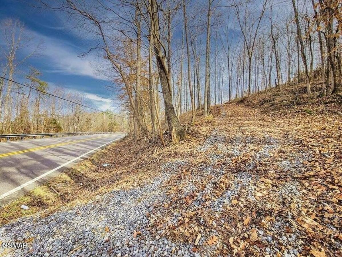 Picture of Residential Land For Sale in Dandridge, Tennessee, United States