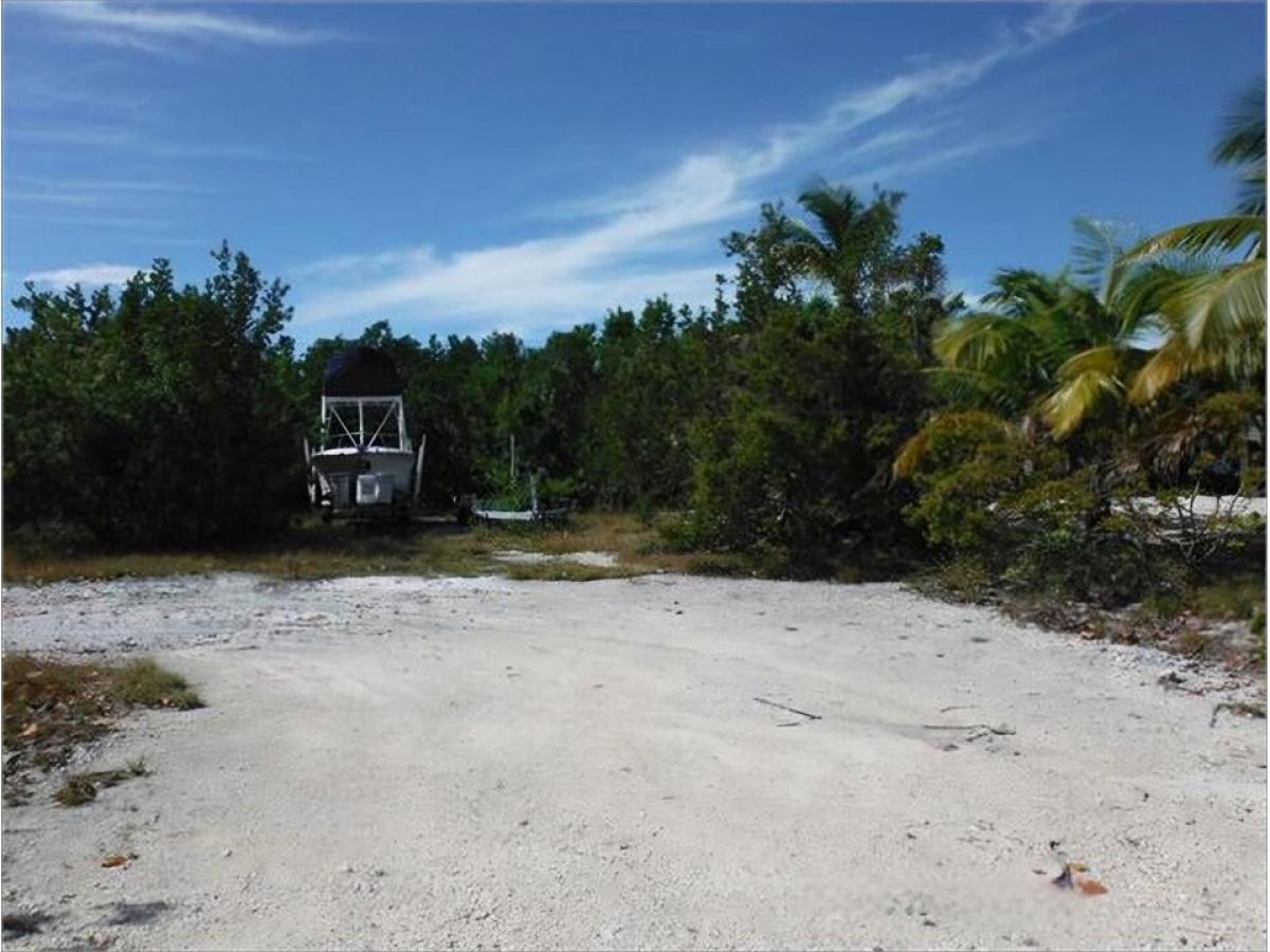 Picture of Residential Land For Sale in Big Pine Key, Florida, United States