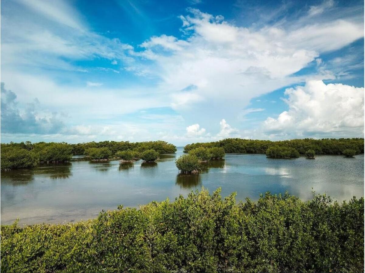 Picture of Home For Rent in Key Largo, Florida, United States