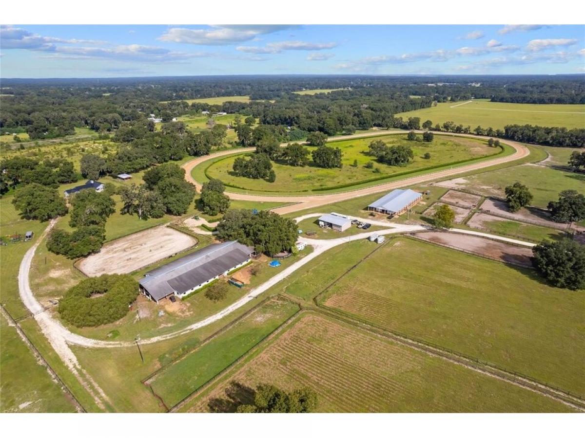 Picture of Home For Sale in Citra, Florida, United States