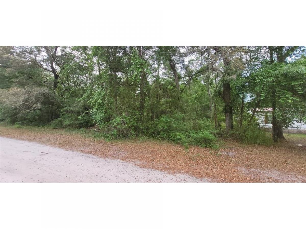 Picture of Residential Land For Rent in Fort Mc Coy, Florida, United States