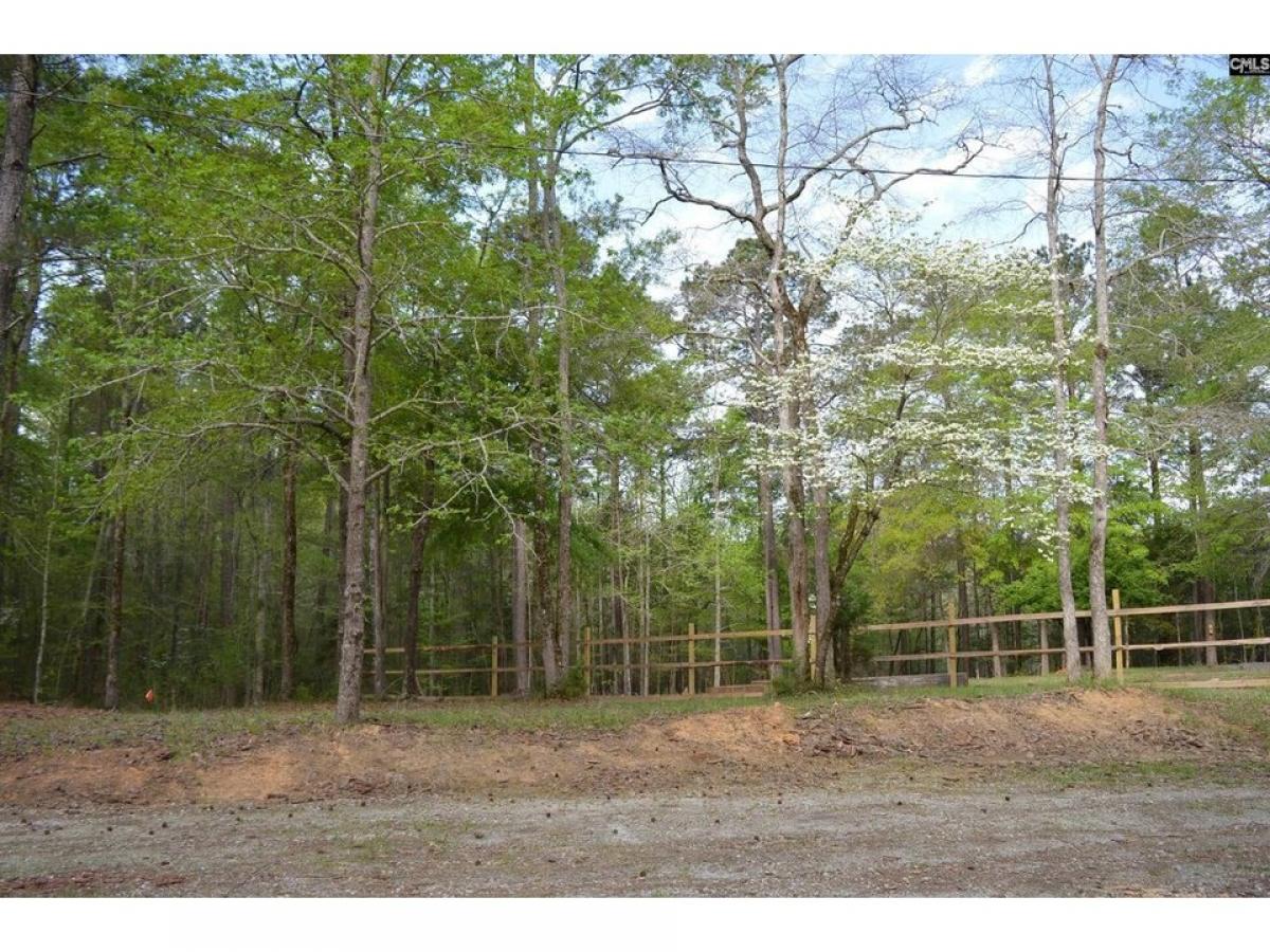 Picture of Residential Land For Sale in Winnsboro, South Carolina, United States