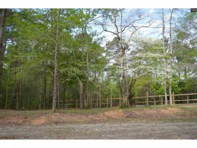 Residential Land For Sale in Winnsboro, South Carolina