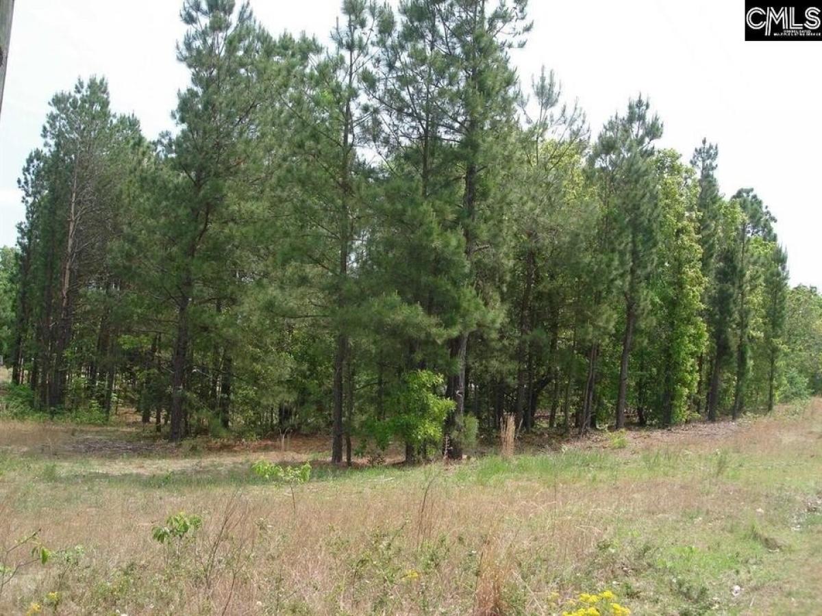 Picture of Residential Land For Sale in Kershaw, South Carolina, United States
