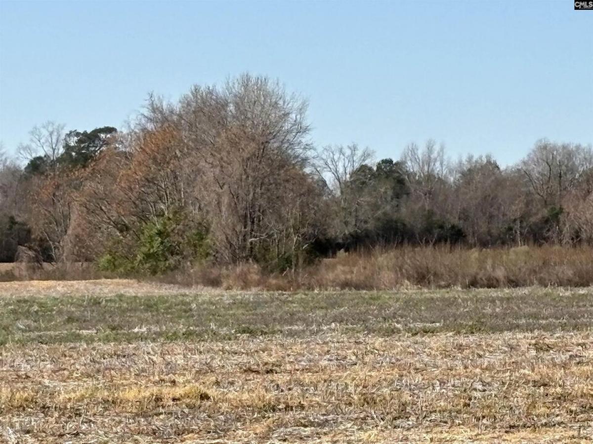 Picture of Residential Land For Sale in Bishopville, South Carolina, United States