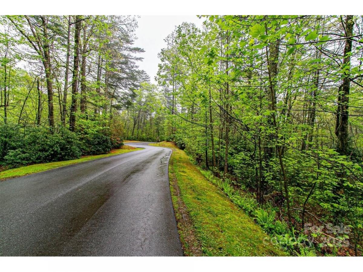 Picture of Residential Land For Sale in Brevard, North Carolina, United States