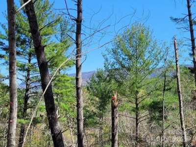 Residential Land For Sale in Marion, North Carolina
