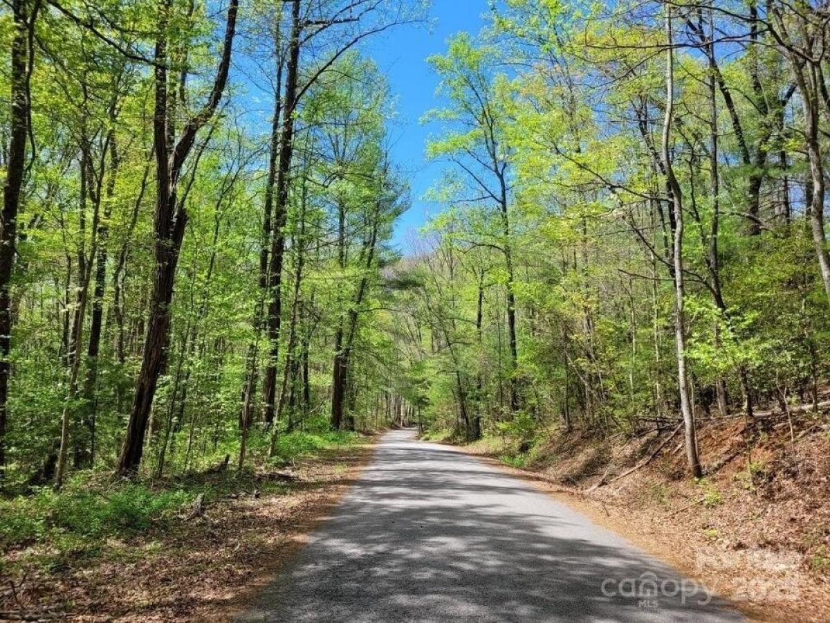 Picture of Residential Land For Sale in Marion, North Carolina, United States