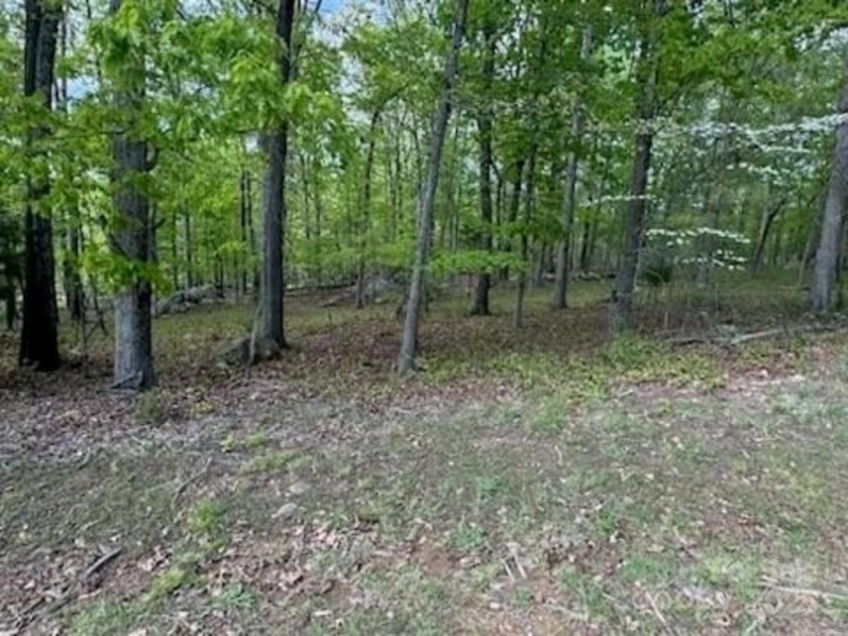Picture of Residential Land For Sale in Denton, North Carolina, United States