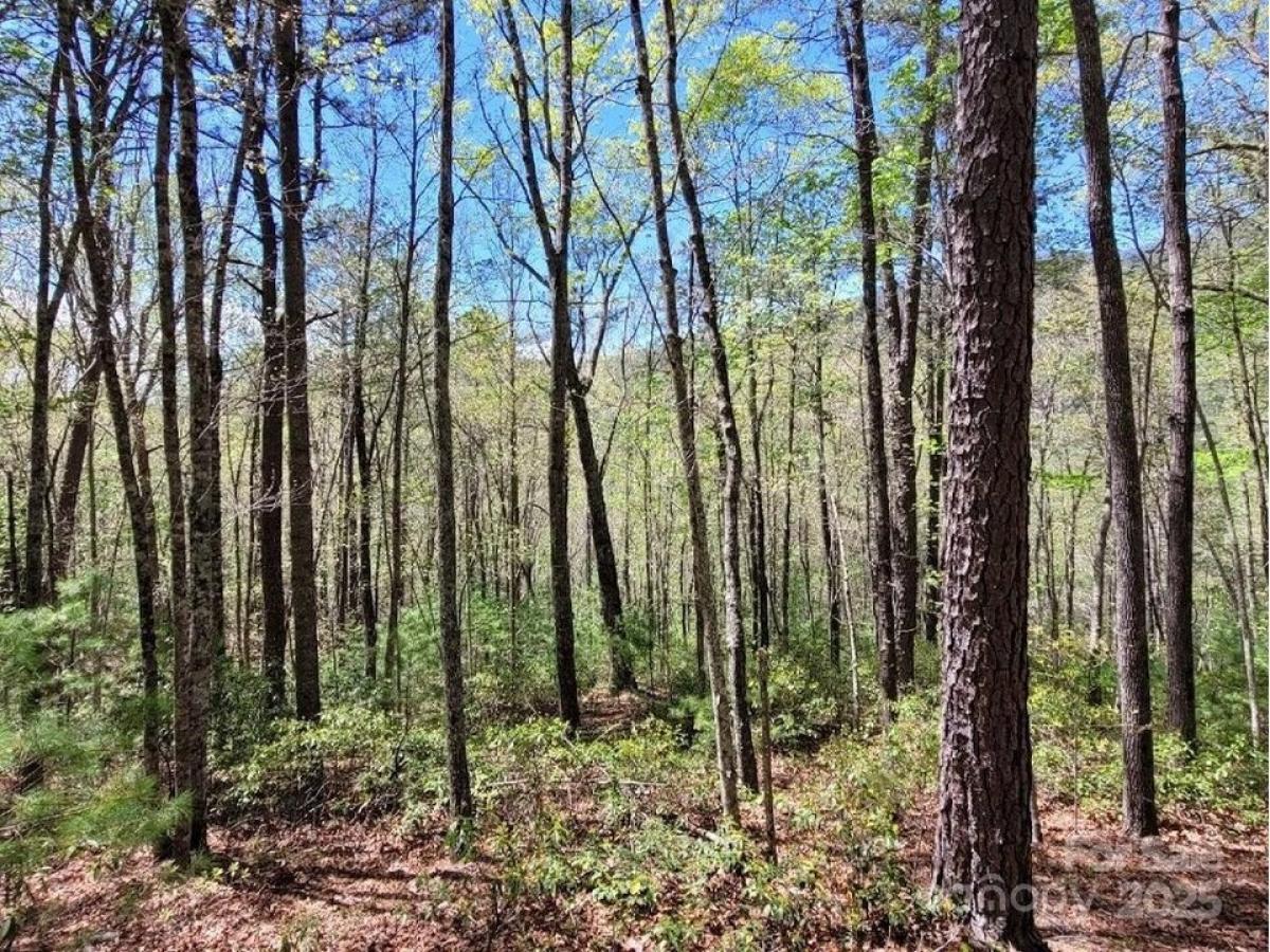Picture of Residential Land For Sale in Marion, North Carolina, United States