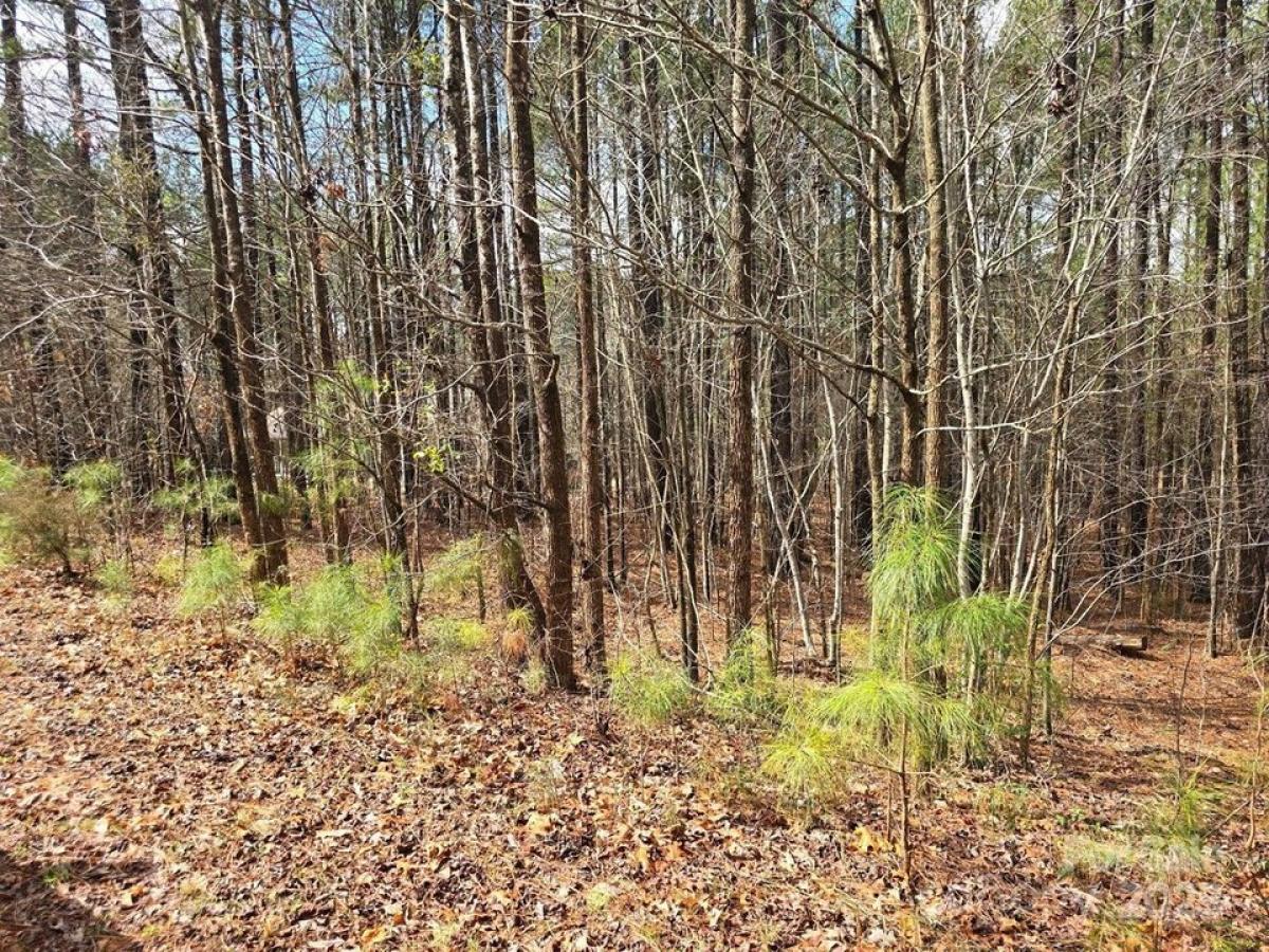 Picture of Residential Land For Sale in Denton, North Carolina, United States
