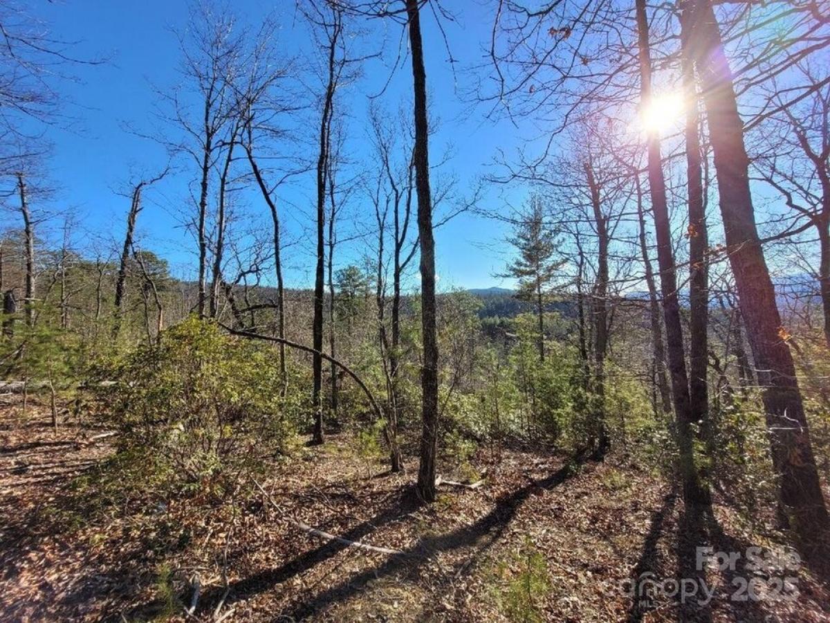 Picture of Residential Land For Sale in Marion, North Carolina, United States