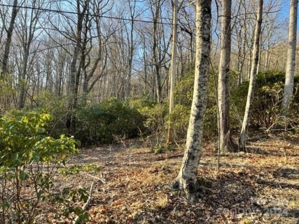 Picture of Residential Land For Sale in Hendersonville, North Carolina, United States
