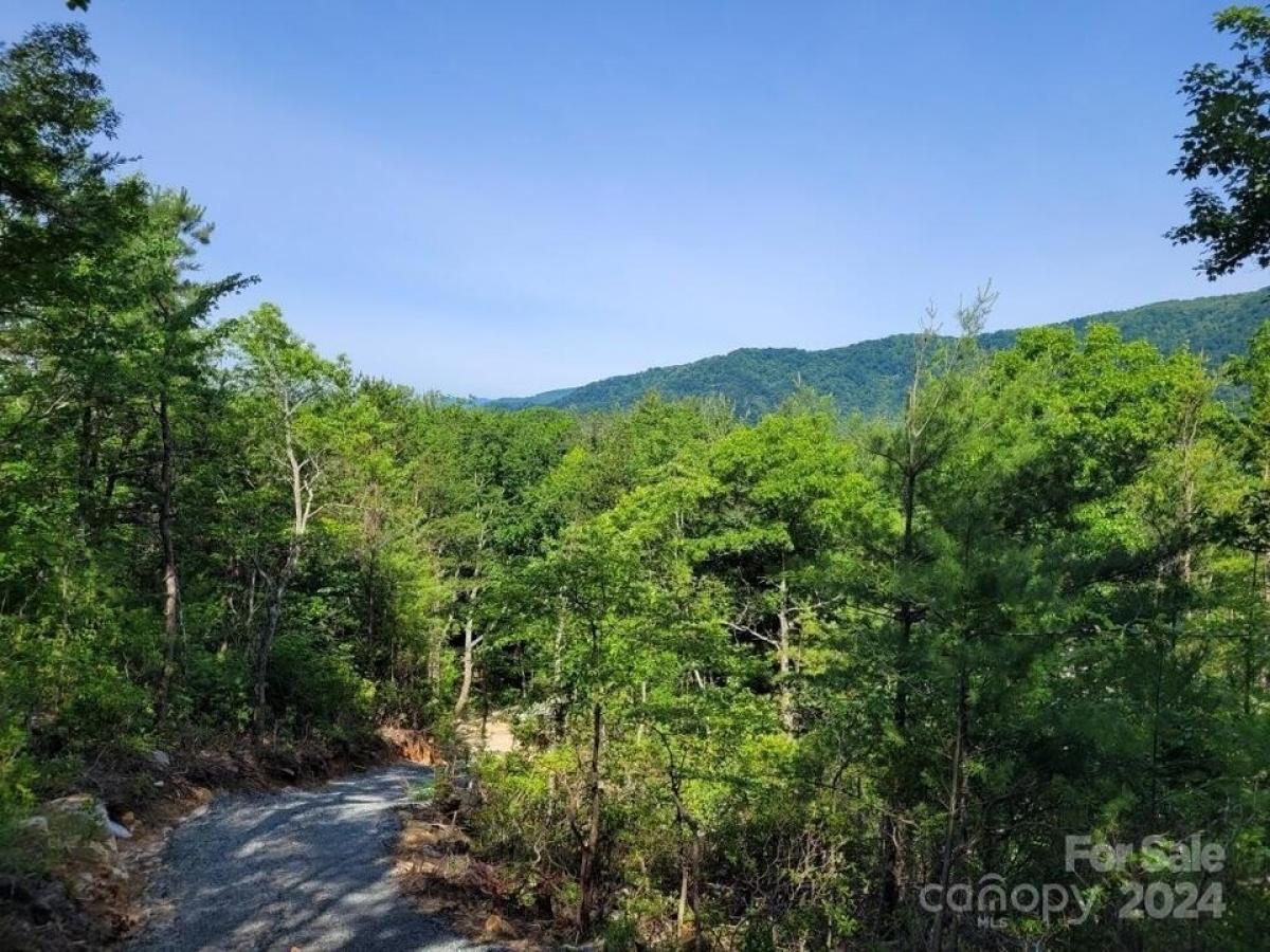 Picture of Residential Land For Sale in Marion, North Carolina, United States