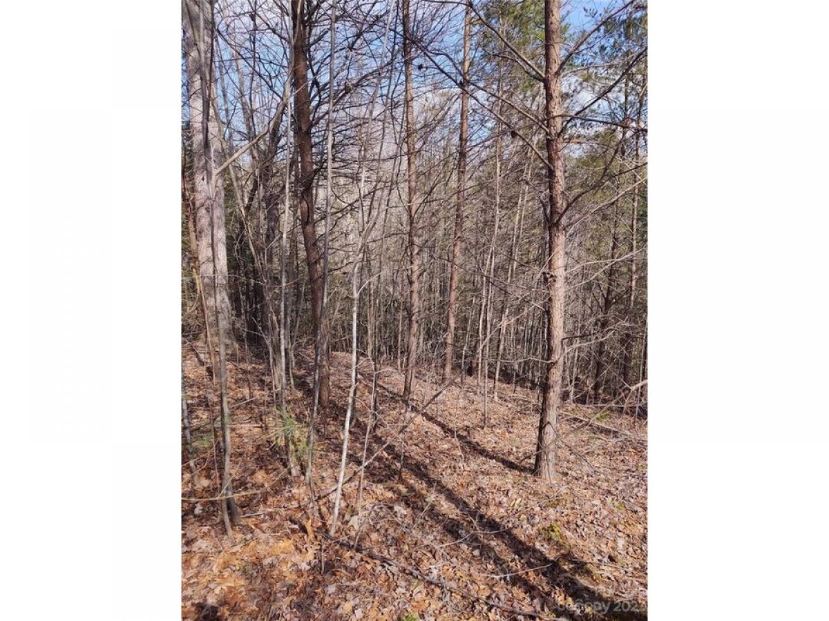 Picture of Residential Land For Sale in Marion, North Carolina, United States