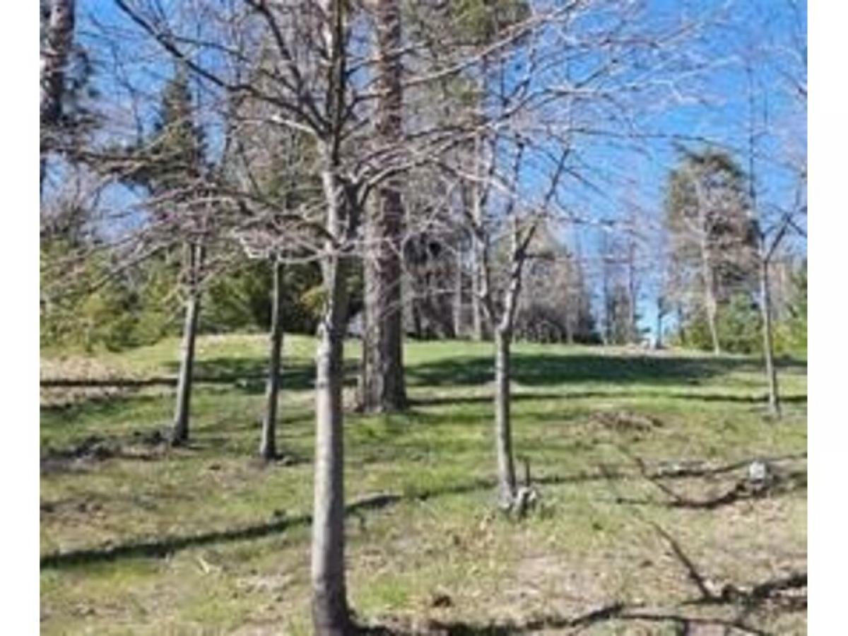 Picture of Residential Land For Sale in Running Springs, California, United States