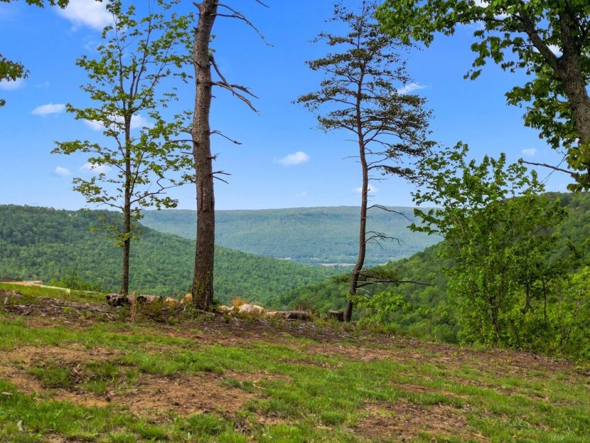 Picture of Residential Land For Sale in Kimball, Tennessee, United States