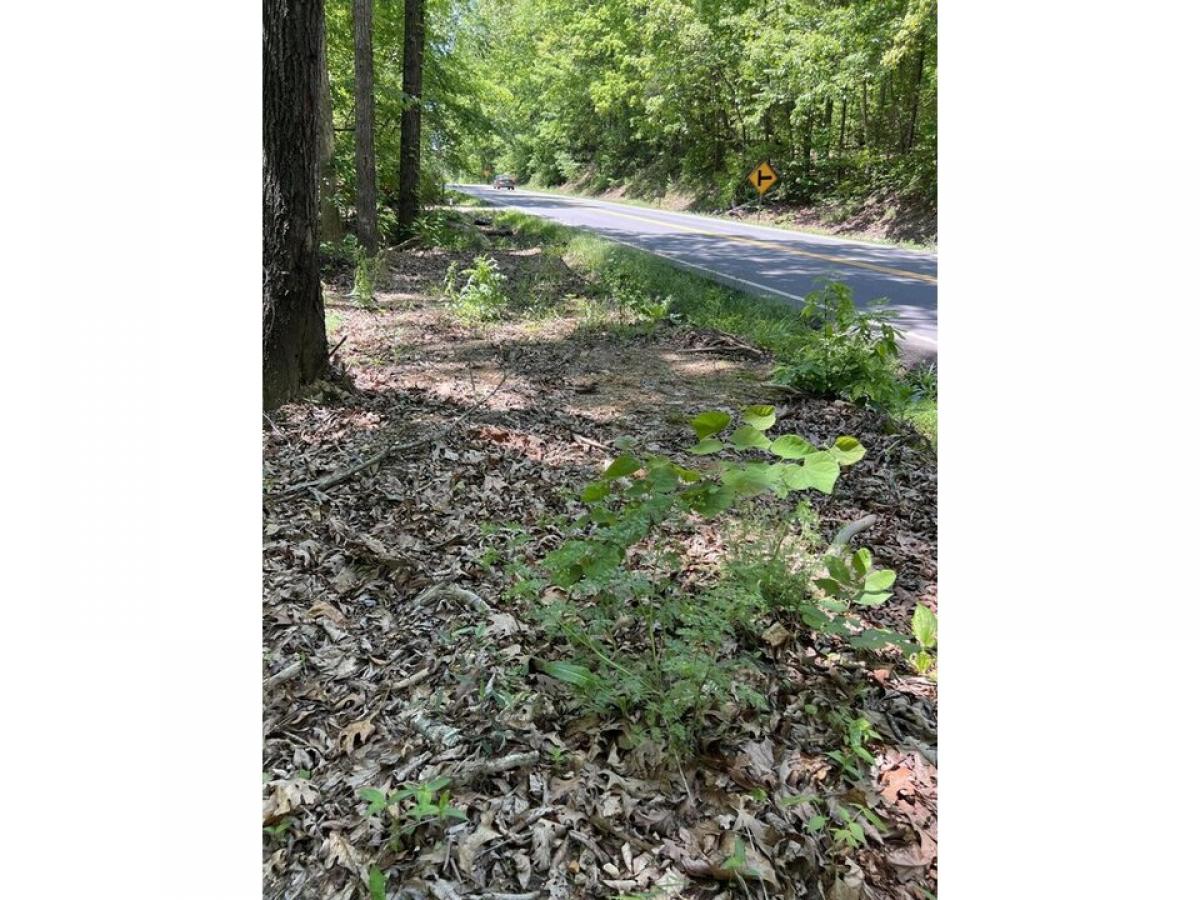 Picture of Residential Land For Sale in Calhoun, Tennessee, United States