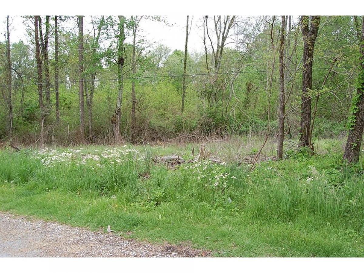 Picture of Residential Land For Sale in Gruetli Laager, Tennessee, United States