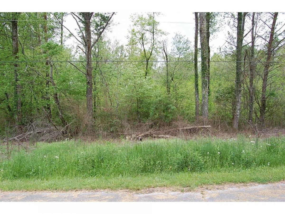 Picture of Residential Land For Sale in Gruetli Laager, Tennessee, United States
