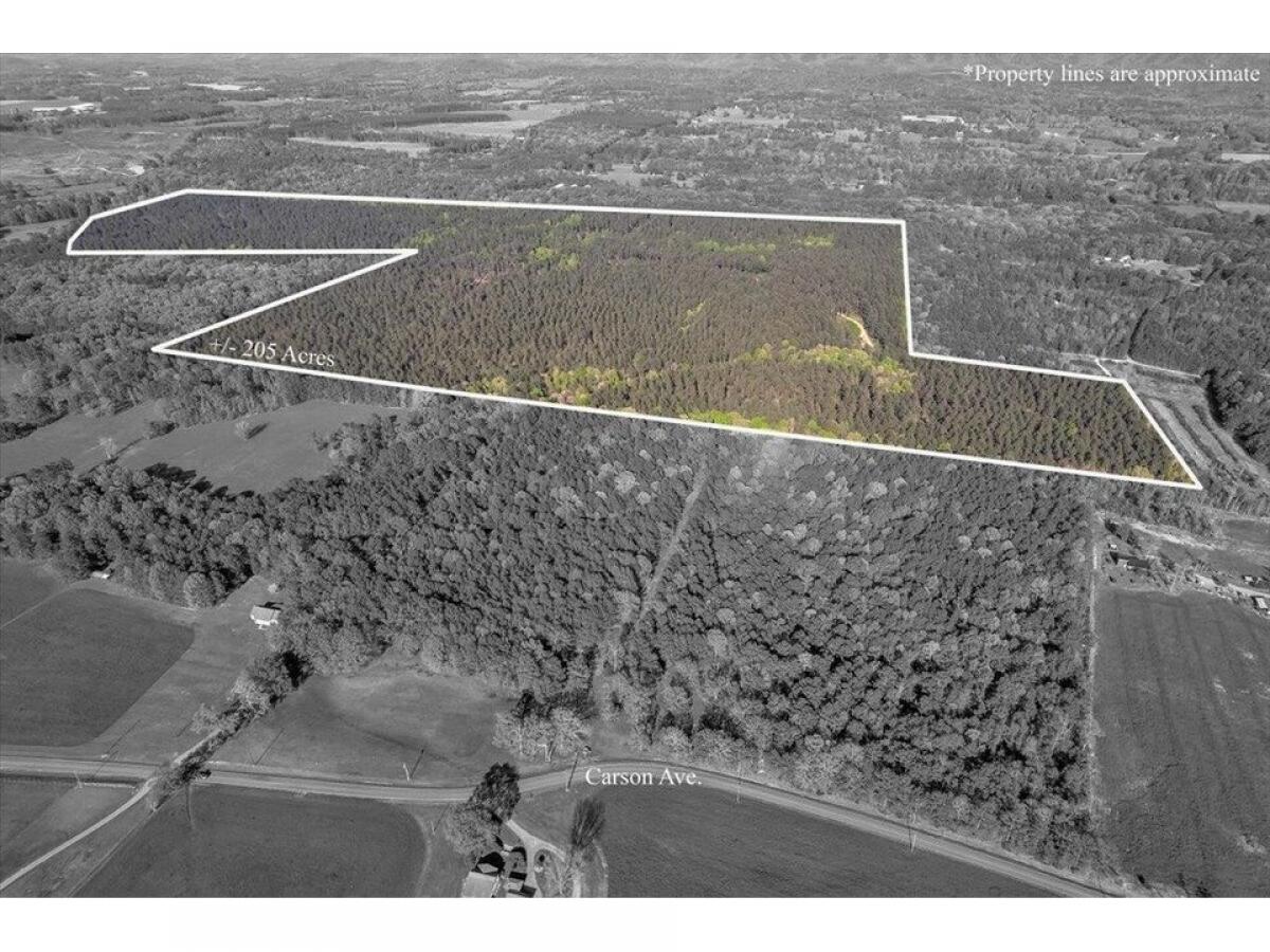 Picture of Residential Land For Sale in Crandall, Georgia, United States