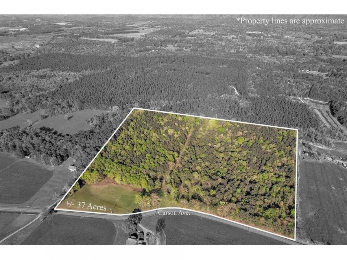 Picture of Residential Land For Sale in Crandall, Georgia, United States