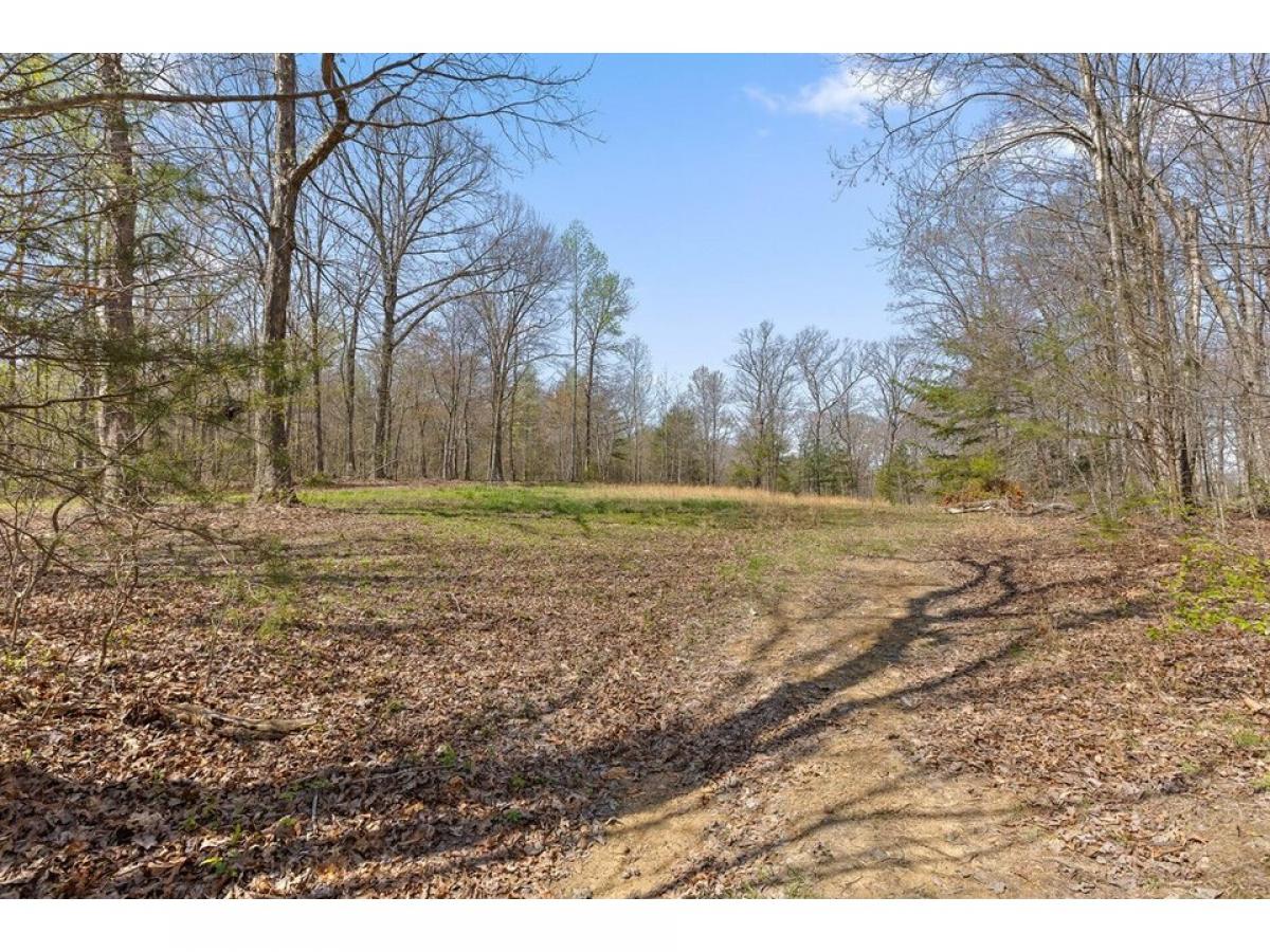 Picture of Residential Land For Sale in Graysville, Tennessee, United States