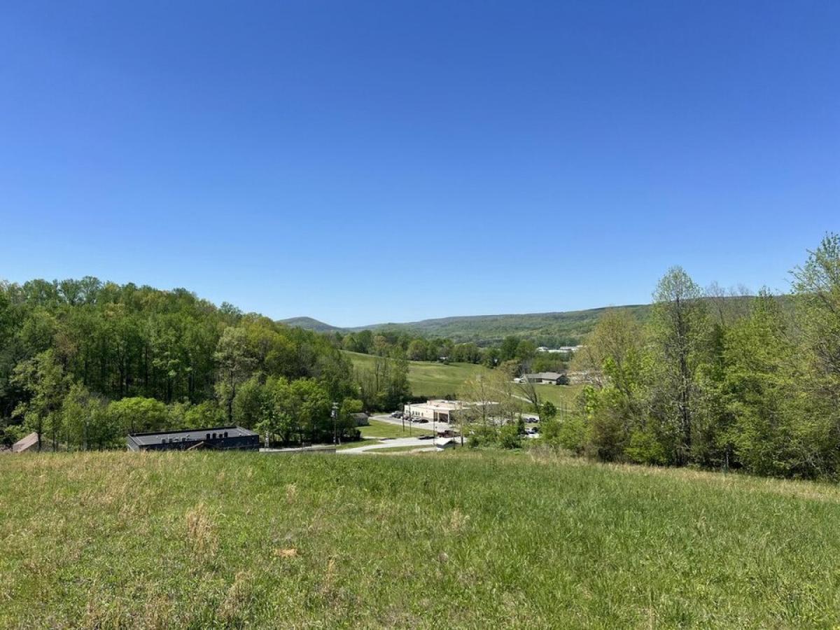 Picture of Residential Land For Sale in Dayton, Tennessee, United States