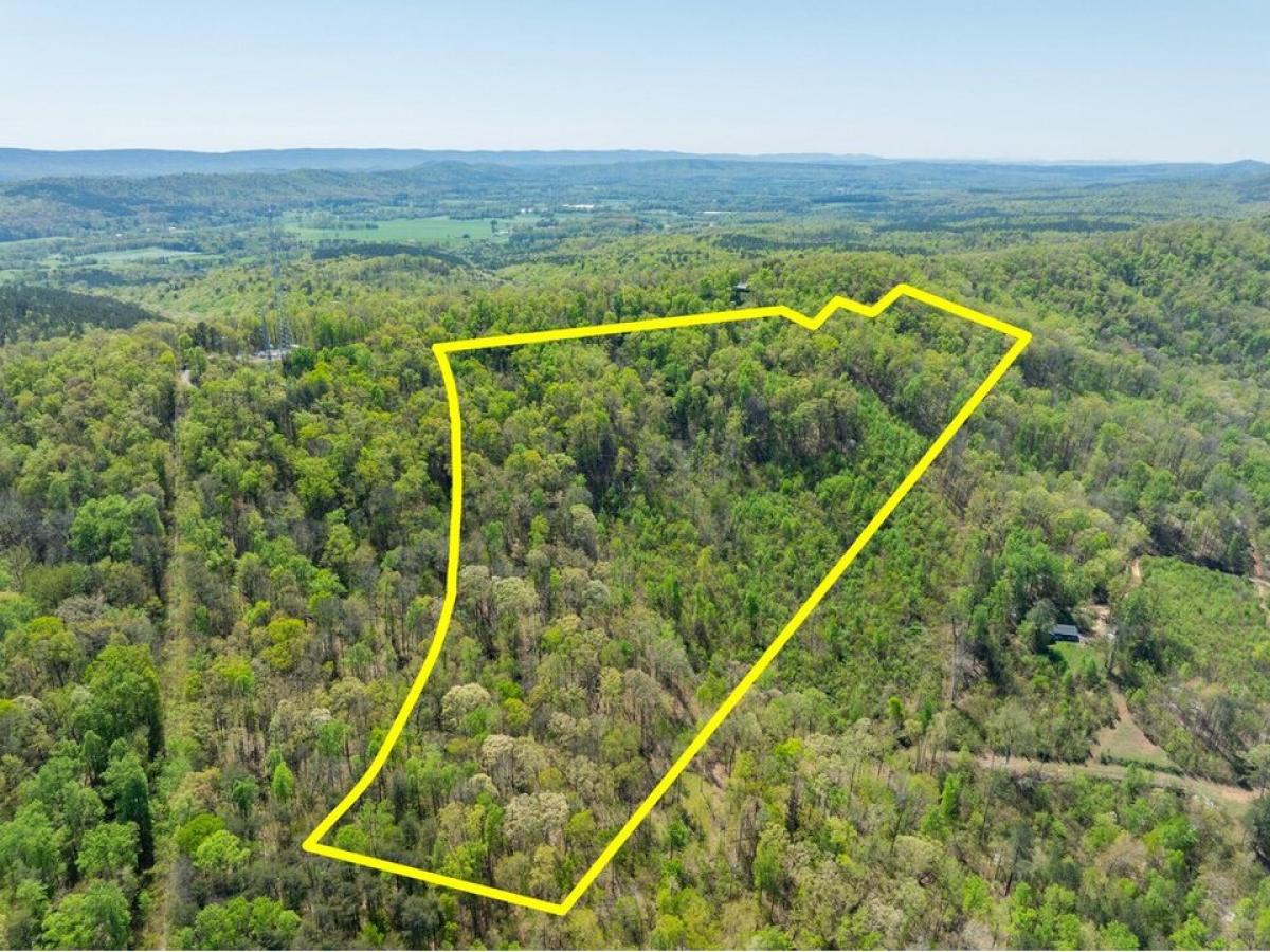 Picture of Residential Land For Sale in Lafayette, Georgia, United States