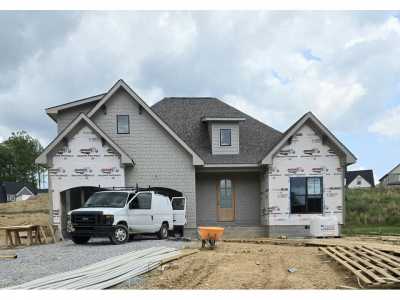 Home For Sale in Apison, Tennessee