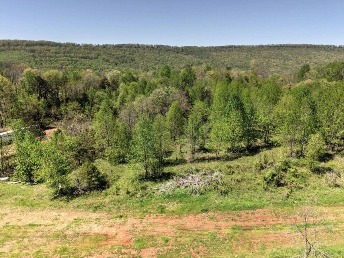 Picture of Residential Land For Sale in Flat Rock, Alabama, United States