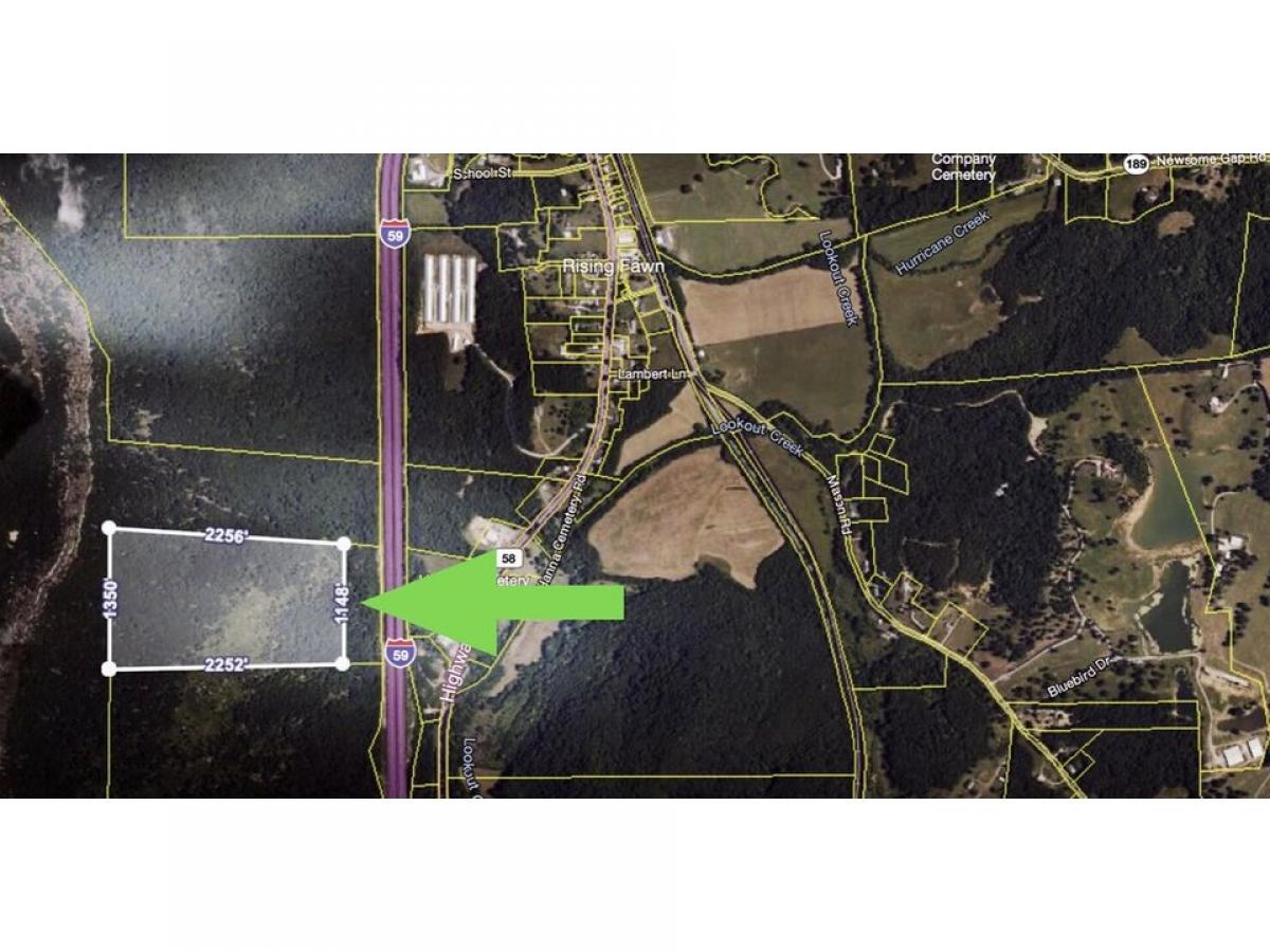 Picture of Residential Land For Sale in Rising Fawn, Georgia, United States