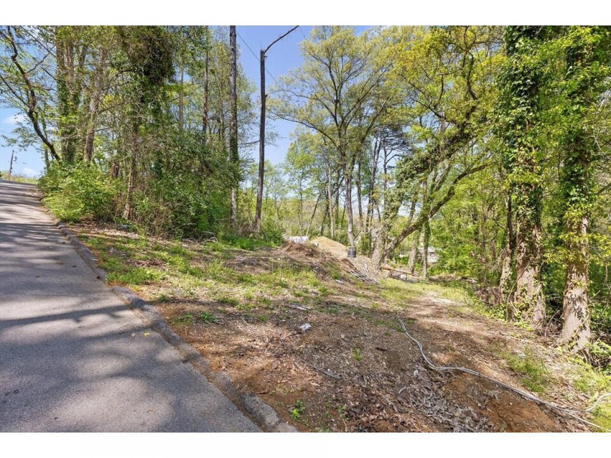 Picture of Residential Land For Sale in Chattanooga, Tennessee, United States