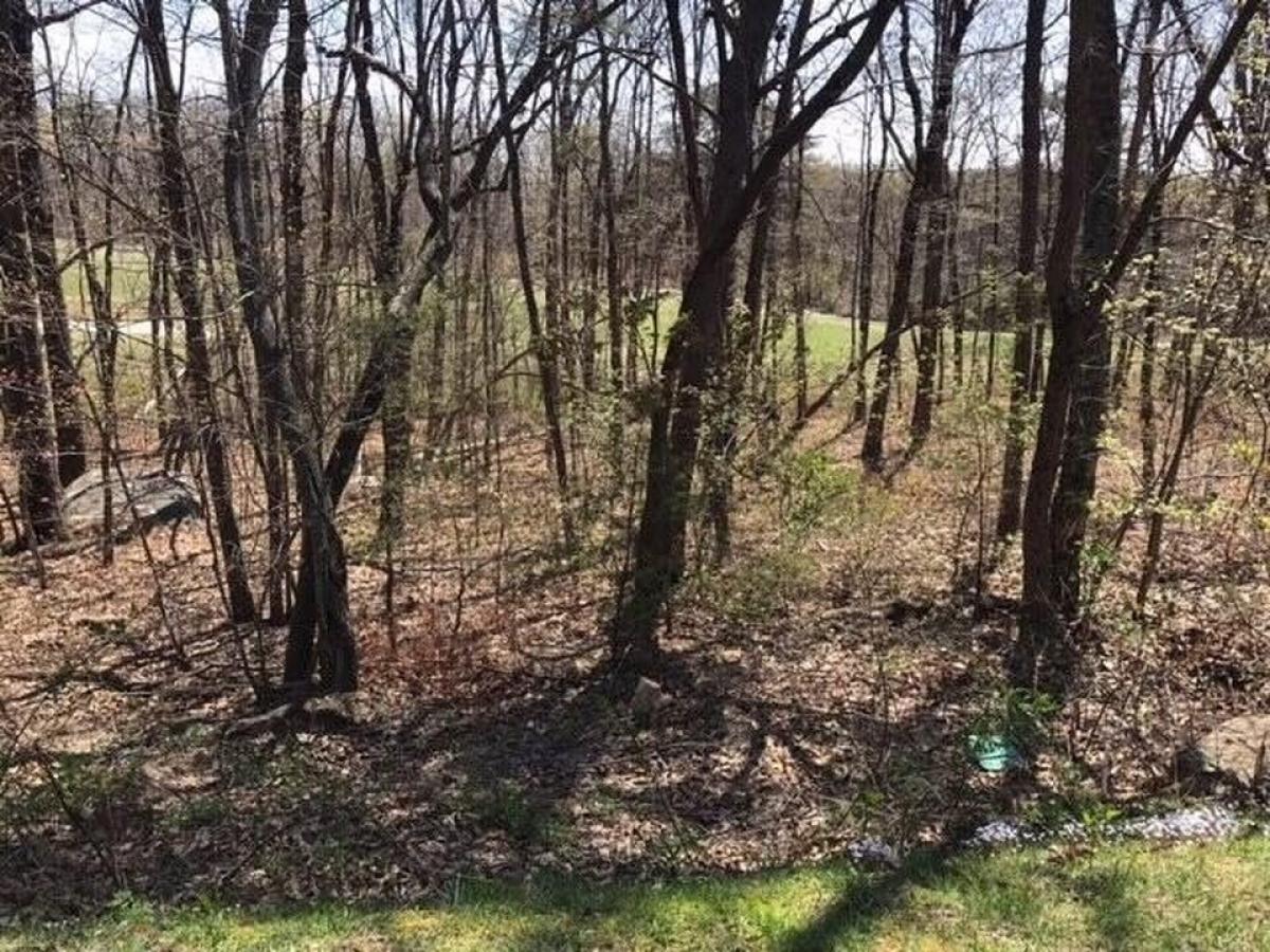 Picture of Residential Land For Sale in Rising Fawn, Georgia, United States