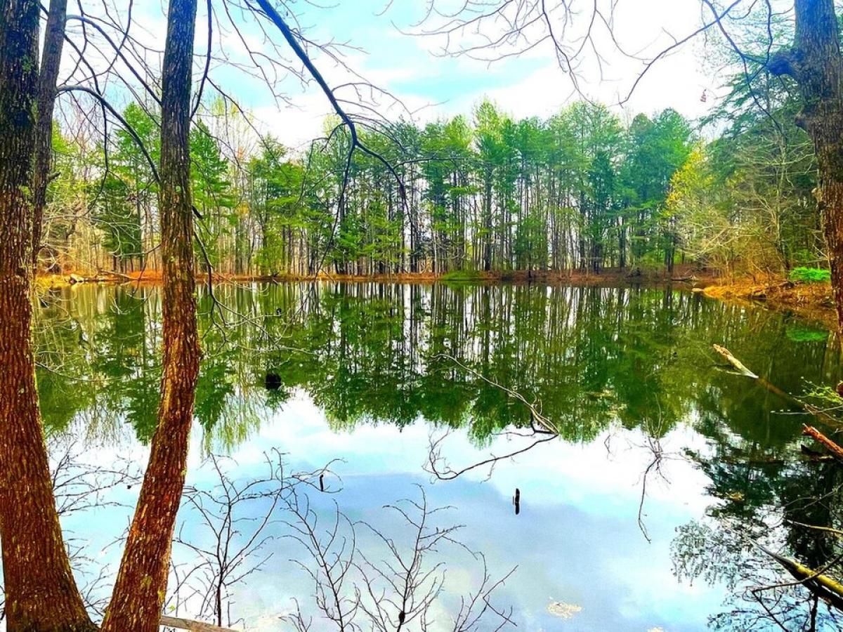 Picture of Residential Land For Sale in South Pittsburg, Tennessee, United States