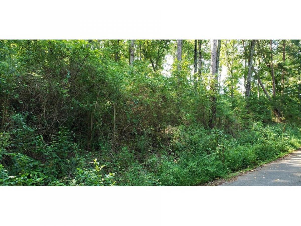 Picture of Residential Land For Sale in Dunlap, Tennessee, United States