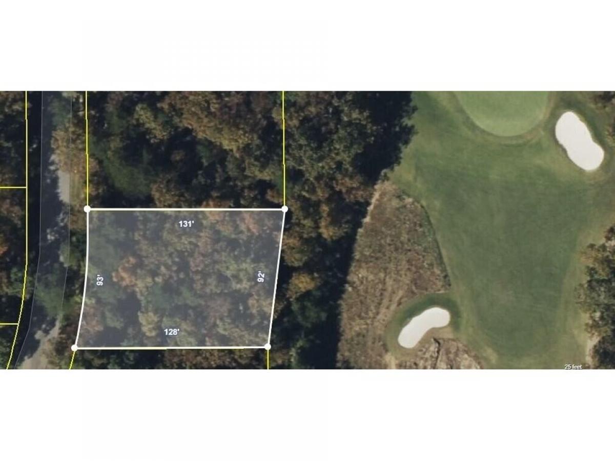 Picture of Residential Land For Sale in Rising Fawn, Georgia, United States