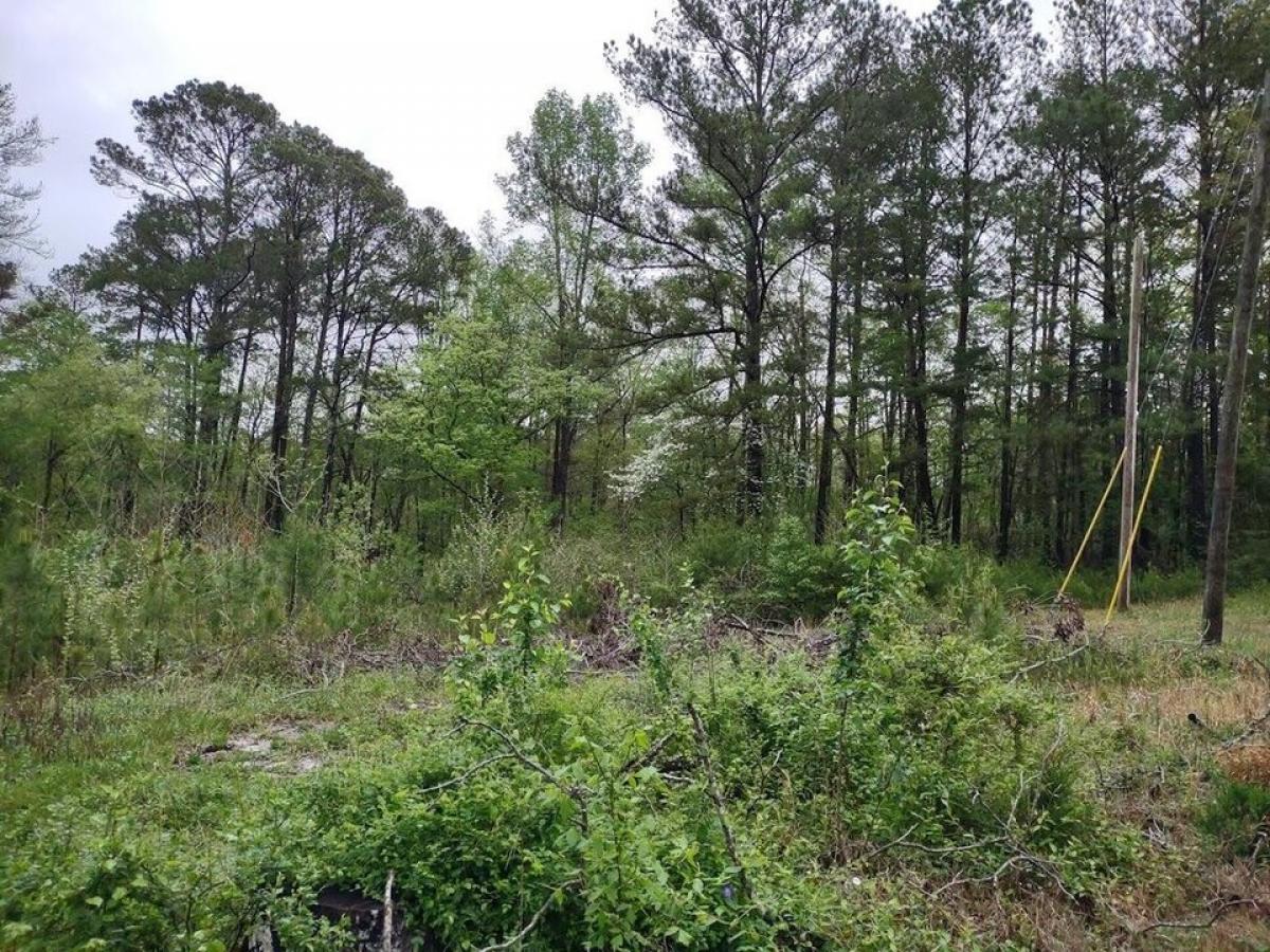 Picture of Residential Land For Sale in Lafayette, Georgia, United States