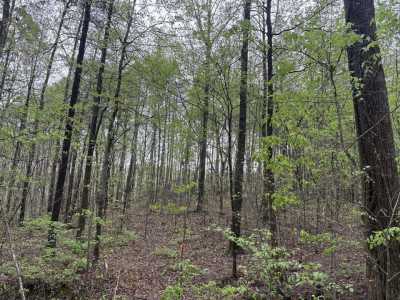 Residential Land For Sale in Lafayette, Georgia